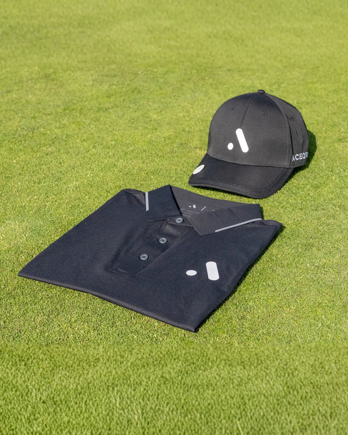 Black Friday Special